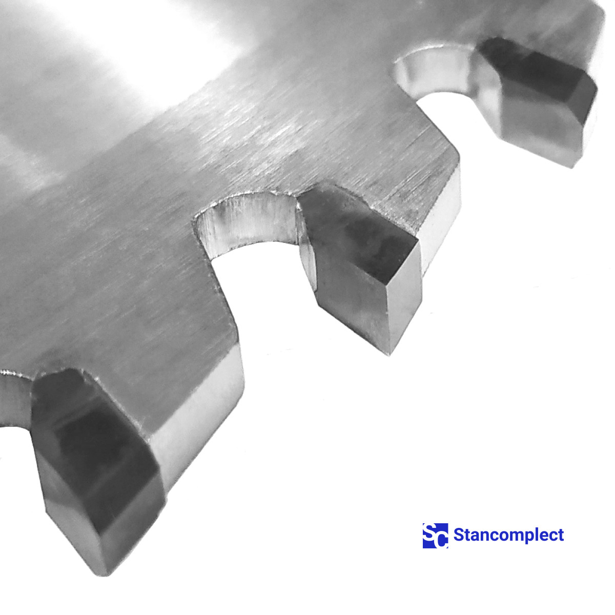 Main saw blade GOLDEN EAGLE 450x4.4/3.2x80 Z72