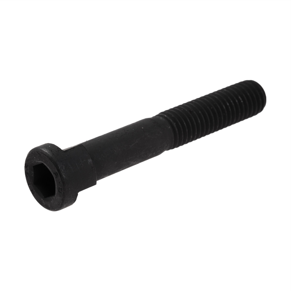 Mounting screw for the riving knife 23511003 for sliding table saws