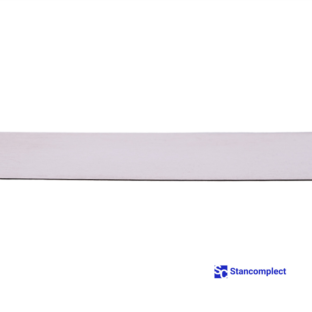 Magnetic strip kit for sliding table saw ruler