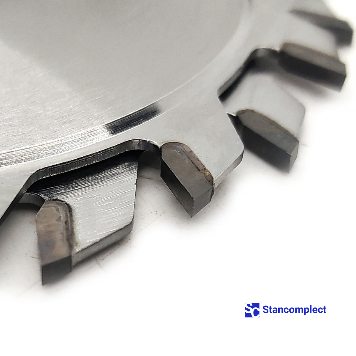 Adjustable scoring saw blade GOLDEN EAGLE 100x20x2.8/3.6 12+12Z